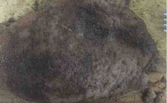 自动流程可食用吸管微波烘干设备20HM面制吸管干燥灭菌隧道炉