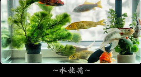 台式杀菌灯便携式移动家用紫外线uv消毒除螨灯管三挡遥控器消毒灯