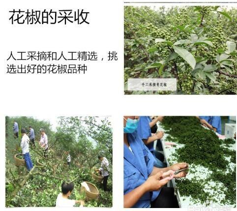 大型穿透式盒饭微波加热隧道炉中式快餐微波取热设备