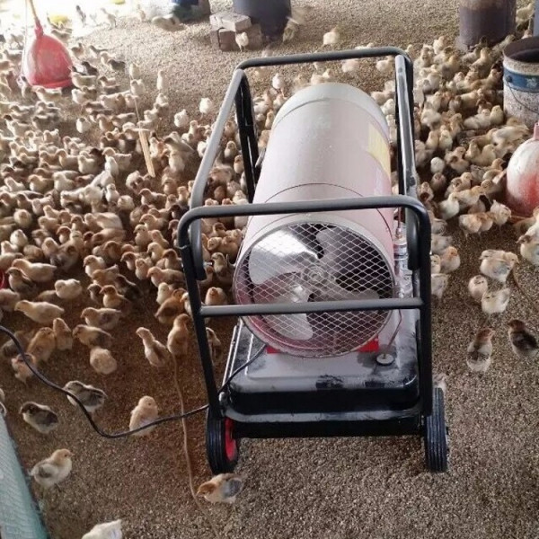 烘干固化设备_强牛机械供应热风循环隧道炉烘干线工业烘道输送固化箱隧道炉