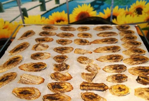 自动流程可食用吸管微波烘干设备20HM面制吸管干燥灭菌隧道炉
