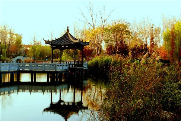 烘干固化设备_厂家供应工业烤箱设备隧道式烤炉高温隧道炉烘干线小型隧道炉
