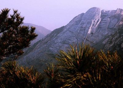 烘干固化设备_厂家供应工业烤箱设备隧道式烤炉高温隧道炉烘干线小型隧道炉