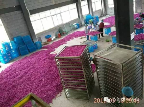 烘干固化设备_批发动作隧道炉固化炉不锈钢网袋烘干线红外线隧道式烘干炉流水线