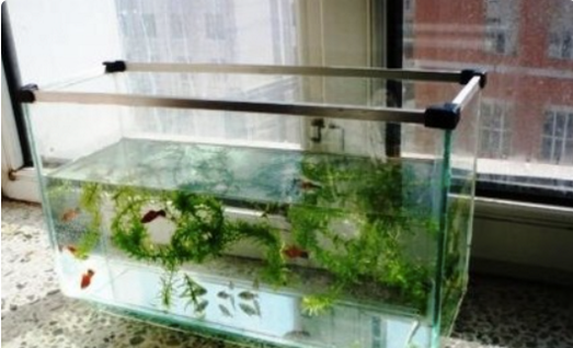 除藻灯_老渔匠鱼缸菌灯uv灯灭菌灯紫外线除藻水族定时净水老鱼匠