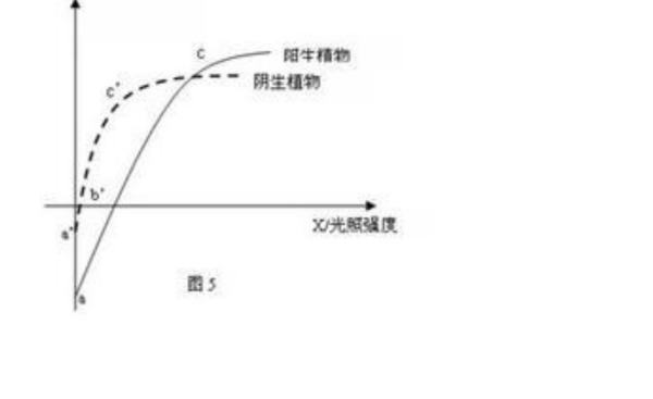 紫外线辐射检测仪、辐射测试仪|UV辐射照度计|uv