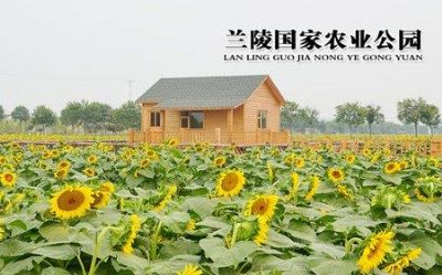 深圳定制隧道固化炉复合新材料隧道炉烘干线丝印隧道炉生产厂家