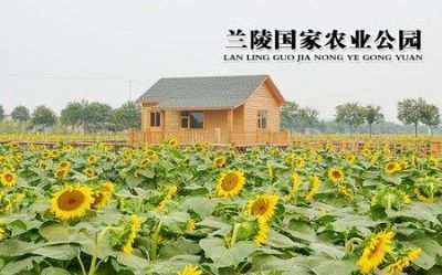 烘干固化设备_厂家供应工业烤箱设备隧道式烤炉高温隧道炉烘干线小型隧道炉