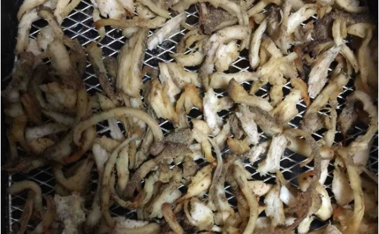 自动流程可食用吸管微波烘干设备20HM面制吸管干燥灭菌隧道炉