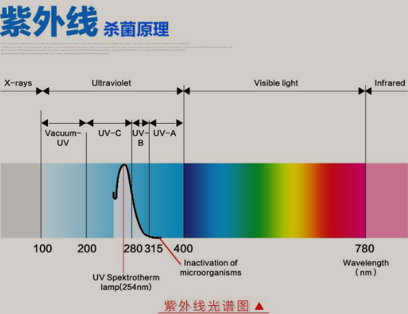 台式杀菌灯_台式微臭氧灯冷阴极紫外线灯便携式uvc杀菌灯家用消毒灯现货直销