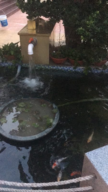 鱼缸灯_双管uv菌紫外线消毒潜水灯水族箱净水藻防水灭菌灯