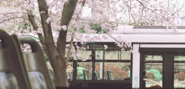 电镀槽烘干机工业隧道烤炉电烤箱工业烘干机电热隧道炉流水线