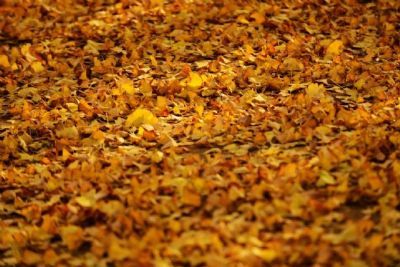 烘干固化设备_厂家供应工业烤箱设备隧道式烤炉高温隧道炉烘干线小型隧道炉