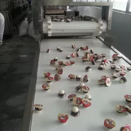 链板输送机_供应生产销售隧道烘干炉输送流水线链板输送机悬挂