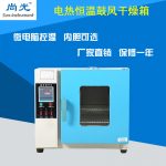 电热鼓风干燥箱_小烘箱恒温鼓风干燥箱烘干箱工业老化101/202系列