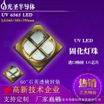 紫外uvled6565灯珠_395/385/紫外uvled656560&deg;透镜曝光固化光源热销