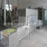 箱式干燥设备_隧道式微波灭菌烘干设备工业微波隧道炉隧道式烘箱