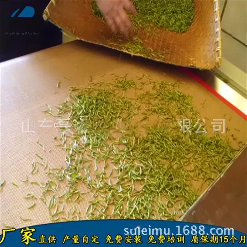 隧道式微波杀青设备生产厂家/金银花杀青机/工业微波杀青隧道炉