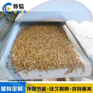 湖北黑水虻干燥设备流水线式/100公斤活虫微波干燥膨胀隧道炉