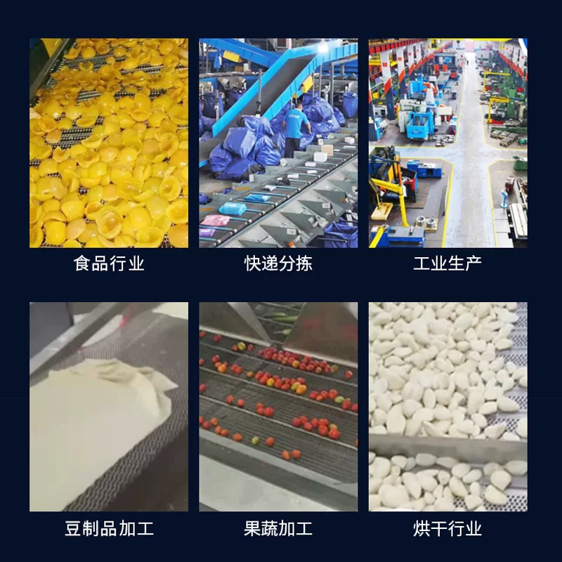 不锈钢网带耐高温菌菇烘干冷风隧道炉流水线输送带不锈钢网带