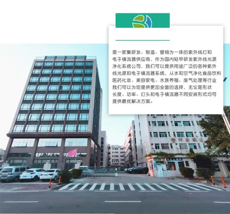紫外线灯管电子镇流器150W整流器uv光解环保设备光氧灯管镇流器