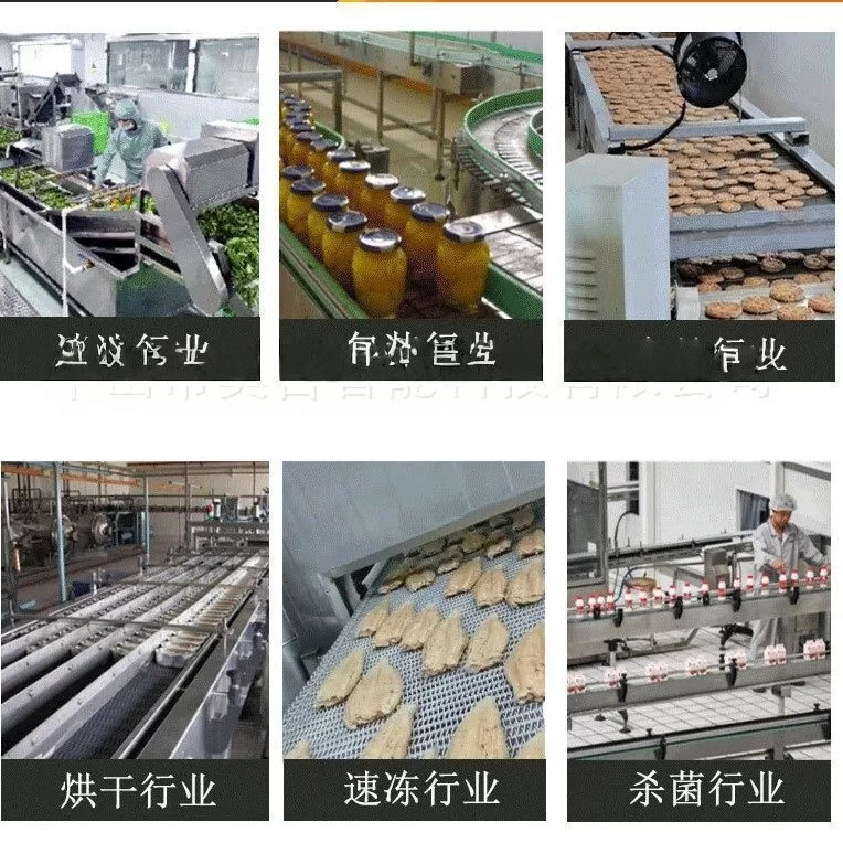 隧道炉烘干线 不锈钢网带耐高温食品输送机 食品高温烘干机流水线